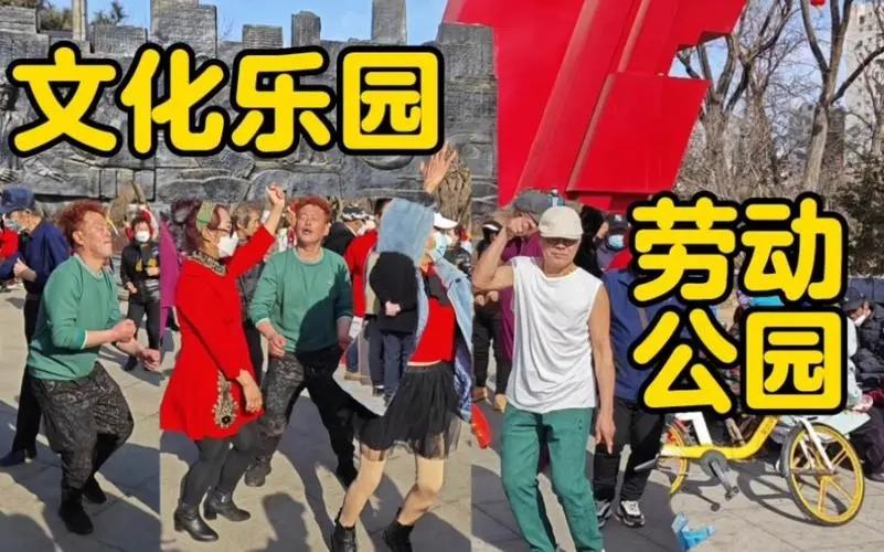 大快人心！沈阳劳动公园“钻裤裆”“挂满大妈”等不雅舞姿被整治-图3