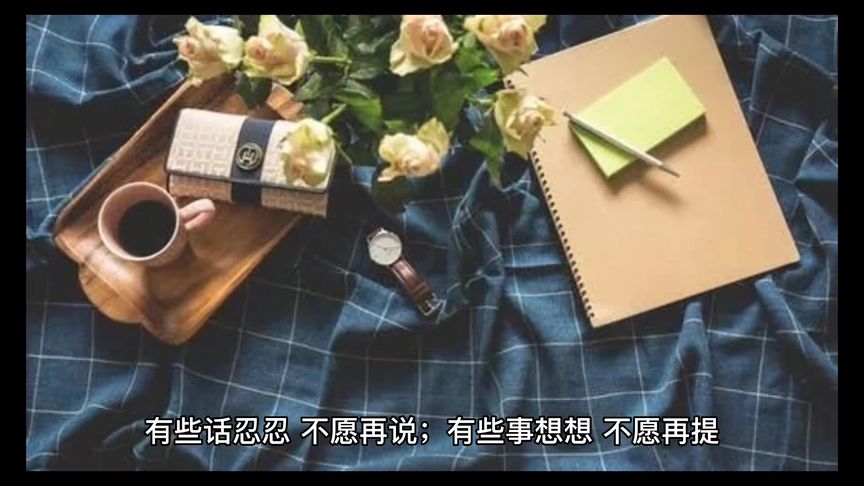 #中视频计划 #中视频合作伙伴计划 #触动心弦的那些话 #情感语录
