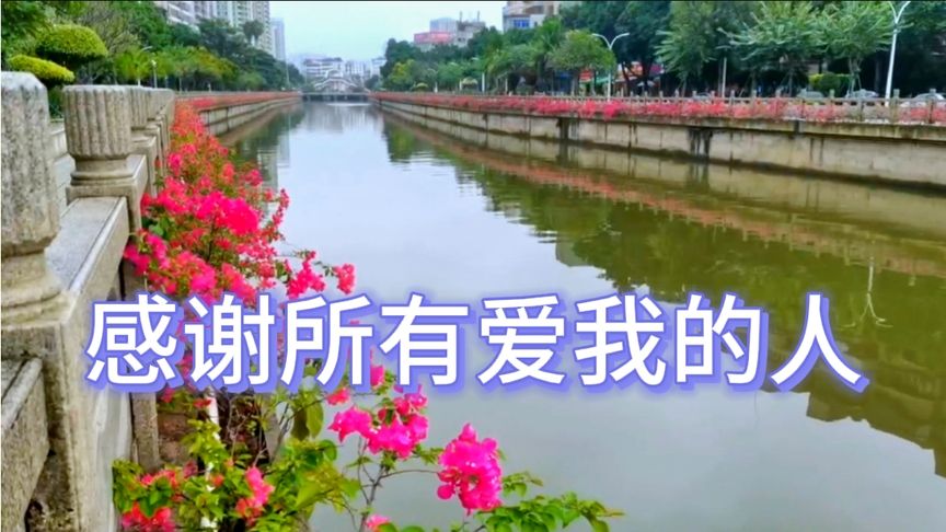 《感谢所有爱我的人》这是有故事的人才能听懂的歌，这歌有毒。