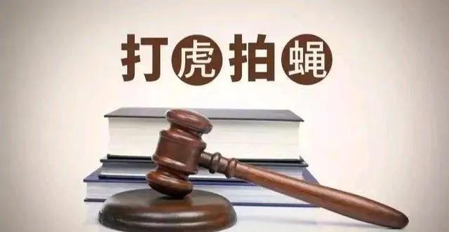 辽宁省12名干部落马接受审查调查或处罚，其中多人已退休-图4