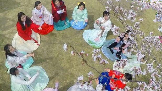 9首春花“飞花令” 边赏花边涨文采！-图1