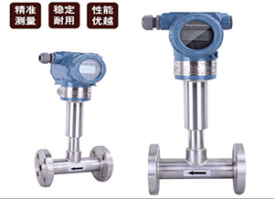 靶式气体流量计